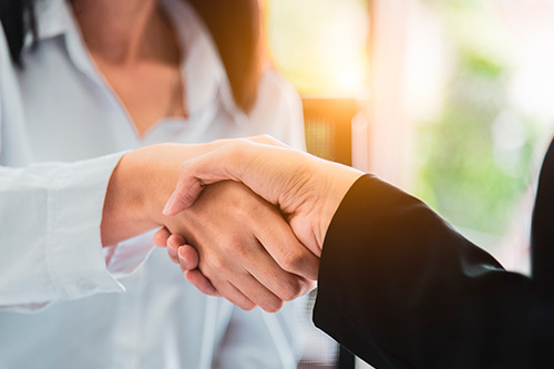 FINALITZACIÓ I ENTREGA